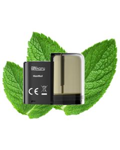 Sikary SP6000 Pod - Menthol 20mg