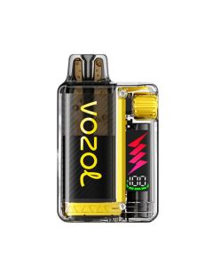 Vozol Vista Plug 10.000 Kit - Mango Ice 20mg